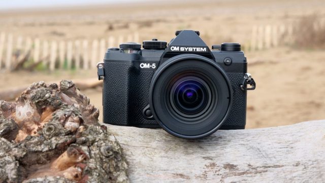 Камера OM System OM-5 II и другие: лучшие фото | DGL.RU