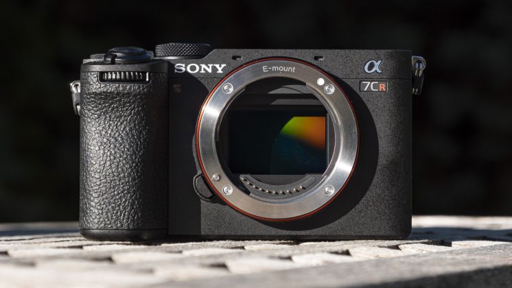 Камера OM System OM-5 II и другие: лучшие фото | DGL.RU