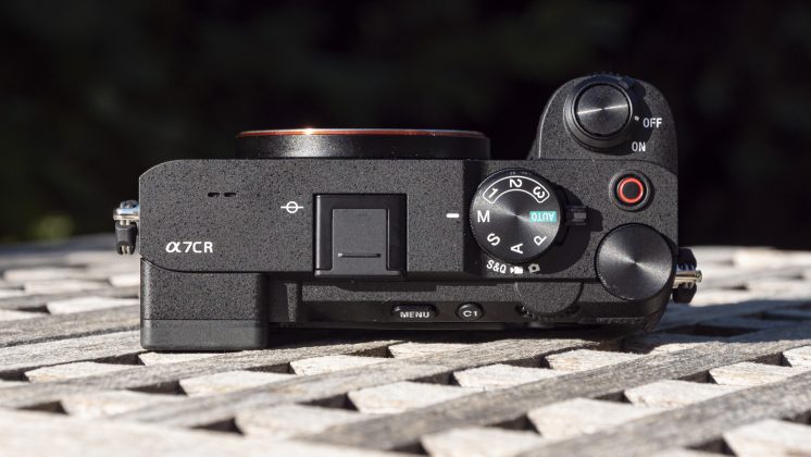 Камера OM System OM-5 II и другие: лучшие фото | DGL.RU