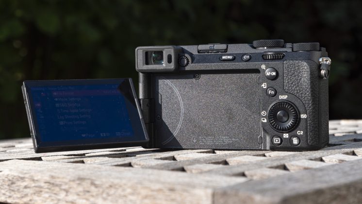 Камера OM System OM-5 II и другие: лучшие фото | DGL.RU