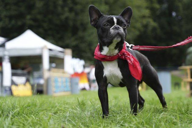 Камера OM System OM-5 II и другие: лучшие фото | DGL.RU