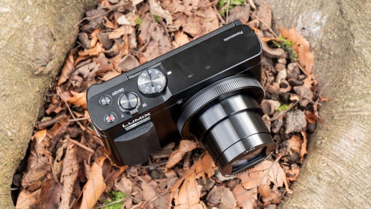 Камера OM System OM-5 II и другие: лучшие фото | DGL.RU