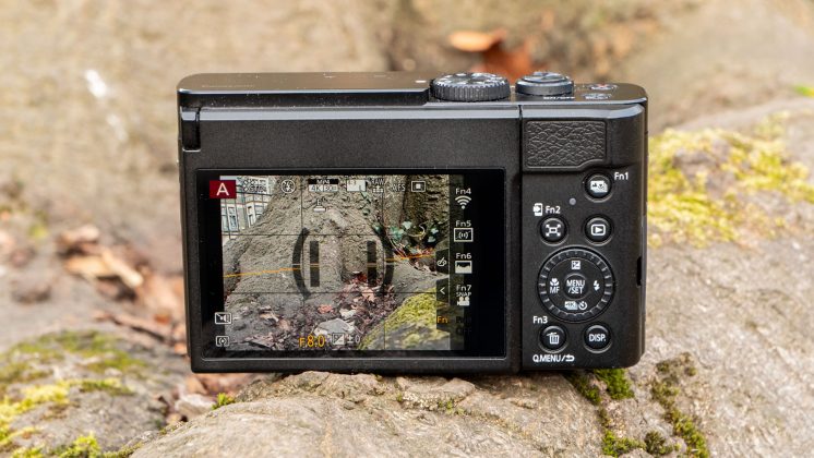 Камера OM System OM-5 II и другие: лучшие фото | DGL.RU