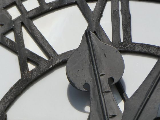 Камера OM System OM-5 II и другие: лучшие фото | DGL.RU