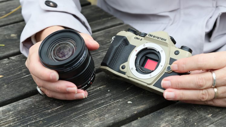 Камера OM System OM-5 II и другие: лучшие фото | DGL.RU