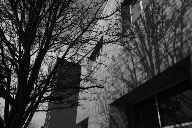 Камера Ricoh GR IV Monochrome: черно-белая | DGL.RU