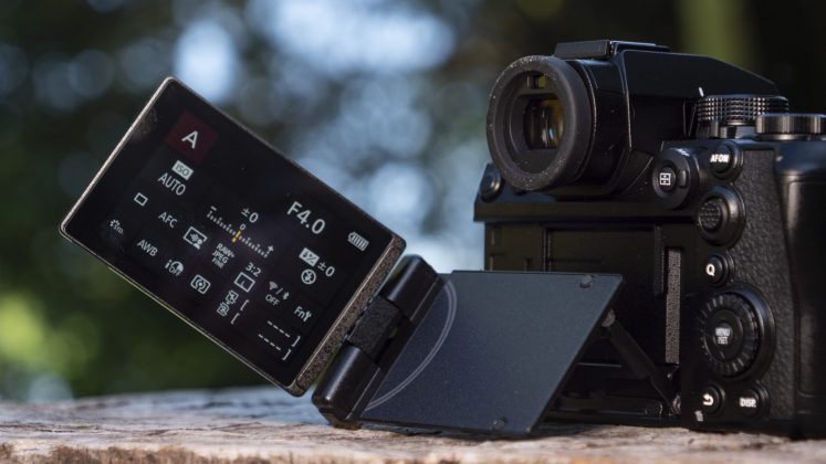 Камера Sony A7 V и лучшие беззеркалки | DGL.RU