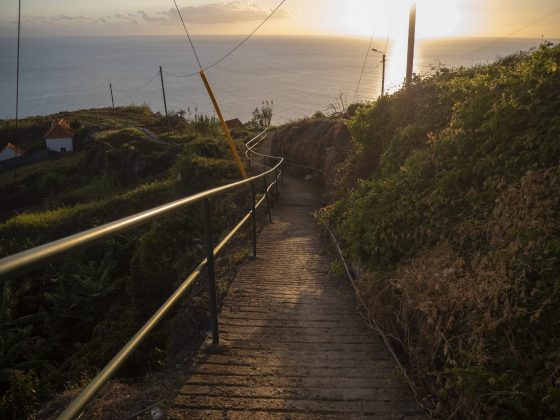 Камера Sony A7 V и лучшие беззеркалки | DGL.RU