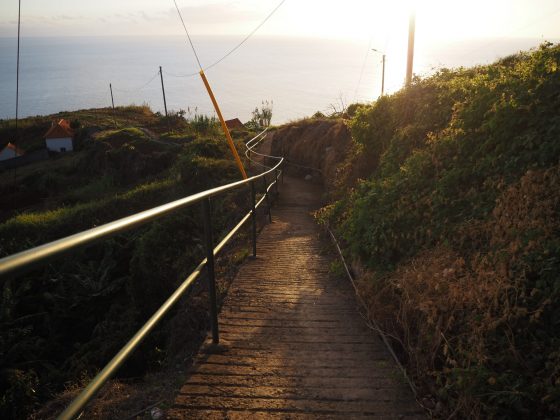 Камера Sony A7 V и лучшие беззеркалки | DGL.RU