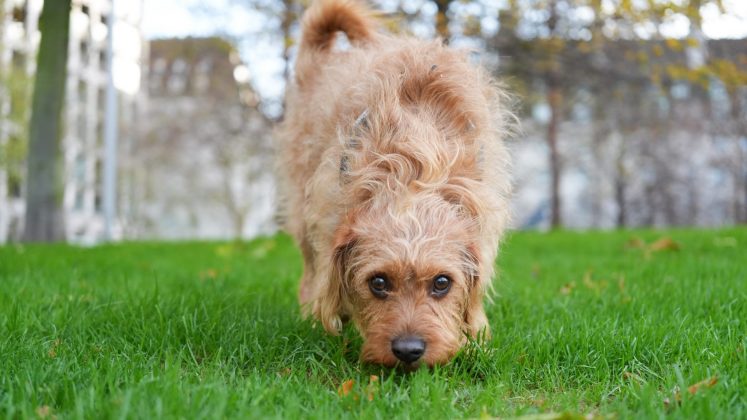 Камера Sony A7 V и лучшие беззеркалки | DGL.RU