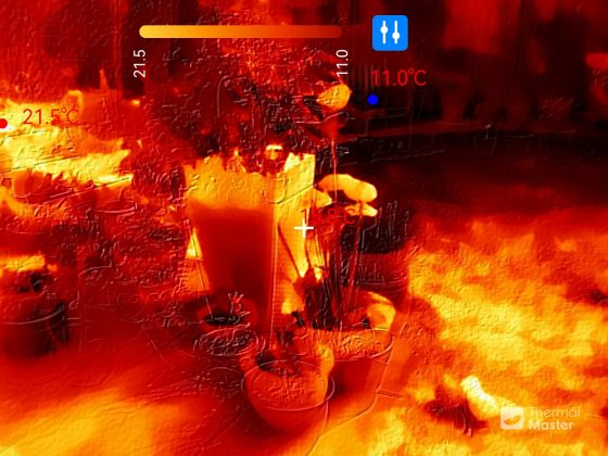 Камера Thermal Master P4 стала мощнее версии P3 | DGL.RU