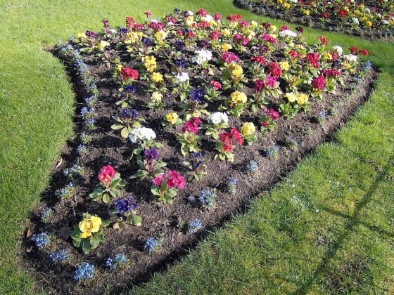 Камера Yashica FX-D 100 с ретро-стилем и зумом | DGL.RU