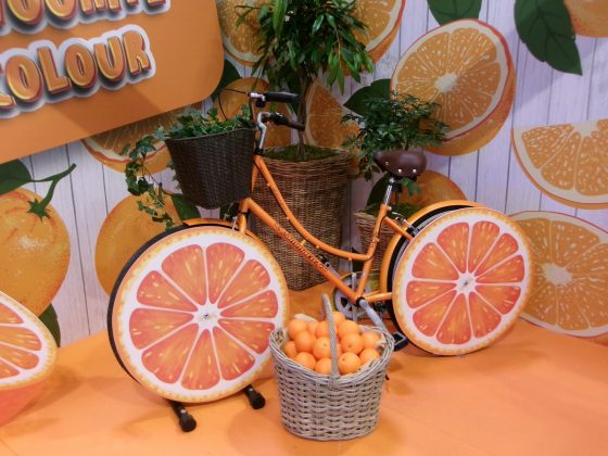 Kodak PixPro FZ45 &mdash; бюджетная цифровая камера | DGL.RU