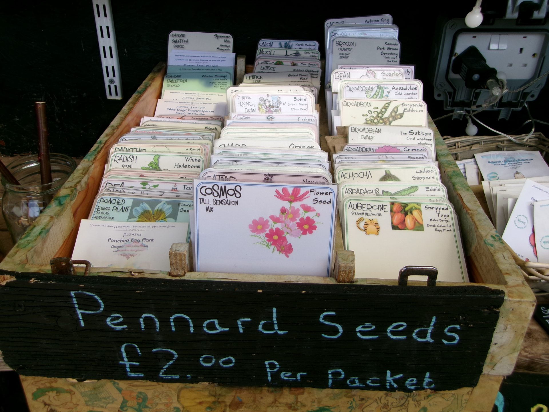 Kodak PixPro FZ45 — бюджетная цифровая камера | DGL.RU