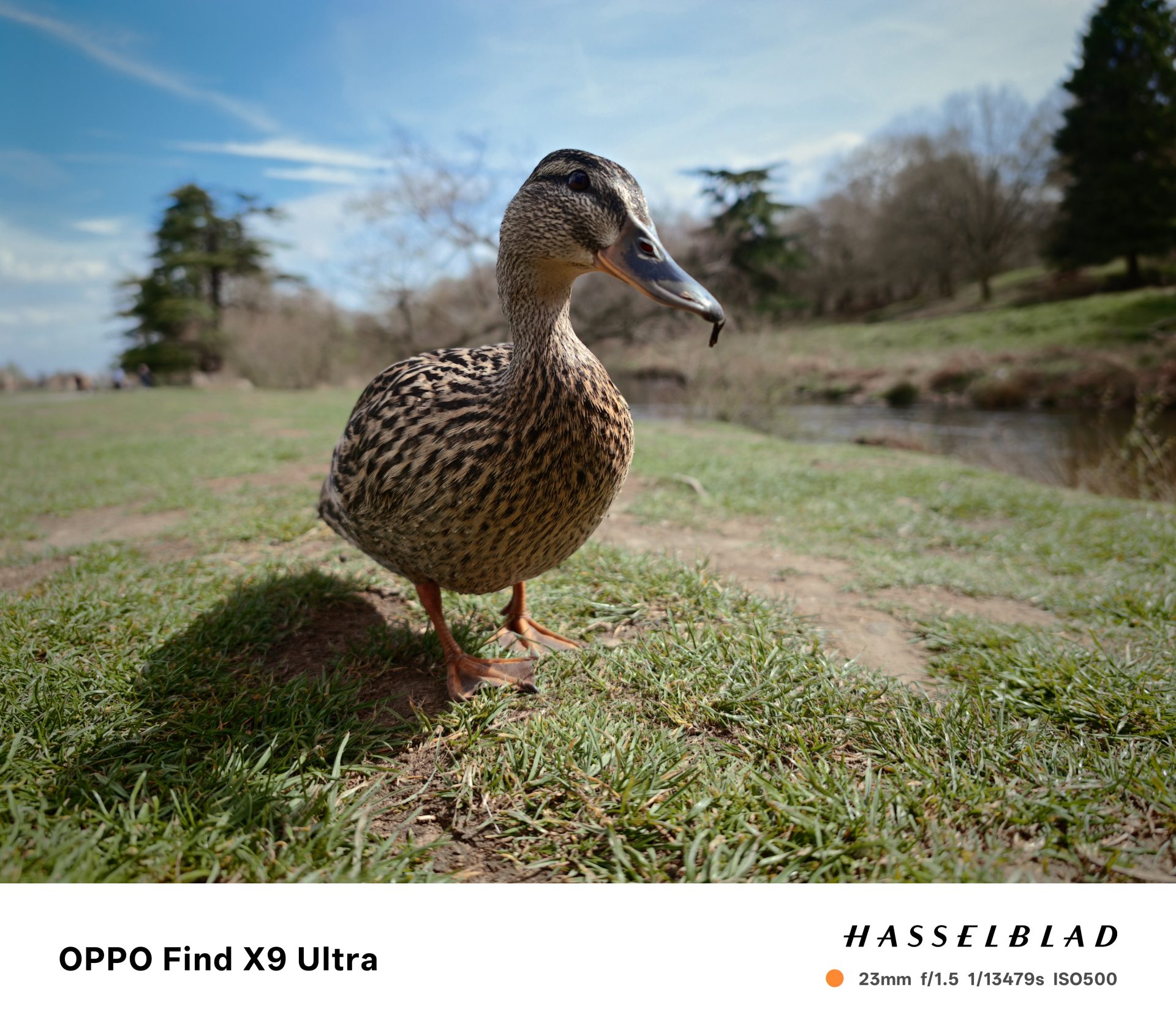 Oppo Find X9 Ultra — лучший камерофон? | DGL.RU