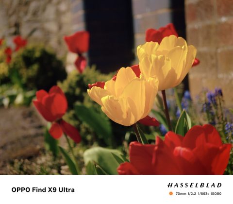 Oppo Find X9 Ultra &mdash; лучший камерофон? | DGL.RU