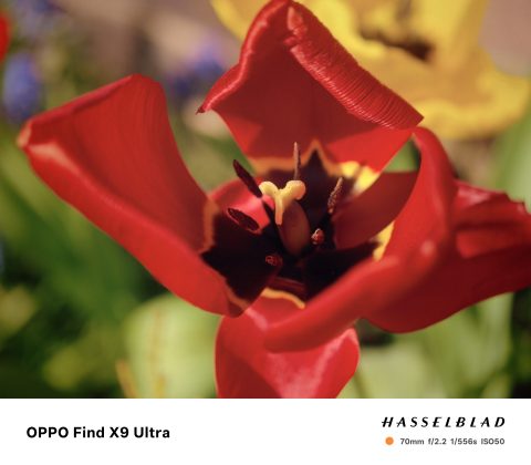 Oppo Find X9 Ultra &mdash; лучший камерофон? | DGL.RU