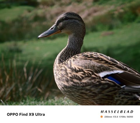 Oppo Find X9 Ultra &mdash; лучший камерофон? | DGL.RU