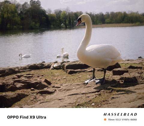 Oppo Find X9 Ultra &mdash; лучший камерофон? | DGL.RU