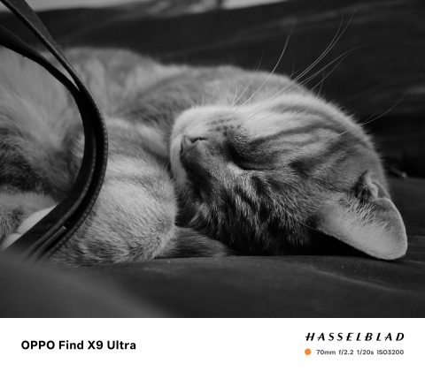 Oppo Find X9 Ultra &mdash; лучший камерофон? | DGL.RU