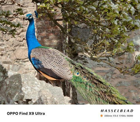 Oppo Find X9 Ultra &mdash; лучший камерофон? | DGL.RU