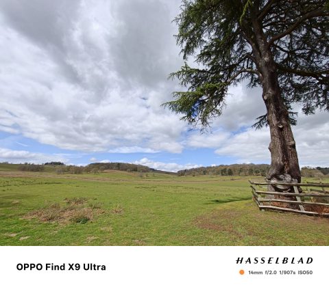 Oppo Find X9 Ultra &mdash; лучший камерофон? | DGL.RU