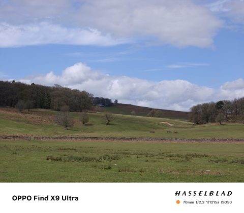 Oppo Find X9 Ultra &mdash; лучший камерофон? | DGL.RU