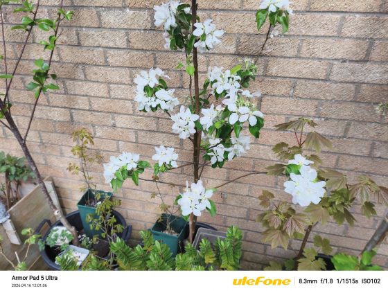 Планшет Ulefone Armor Pad 5 Ultra с проектором | DGL.RU