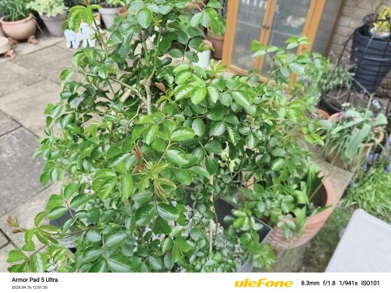 Планшет Ulefone Armor Pad 5 Ultra с проектором | DGL.RU