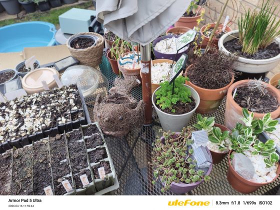 Планшет Ulefone Armor Pad 5 Ultra с проектором | DGL.RU