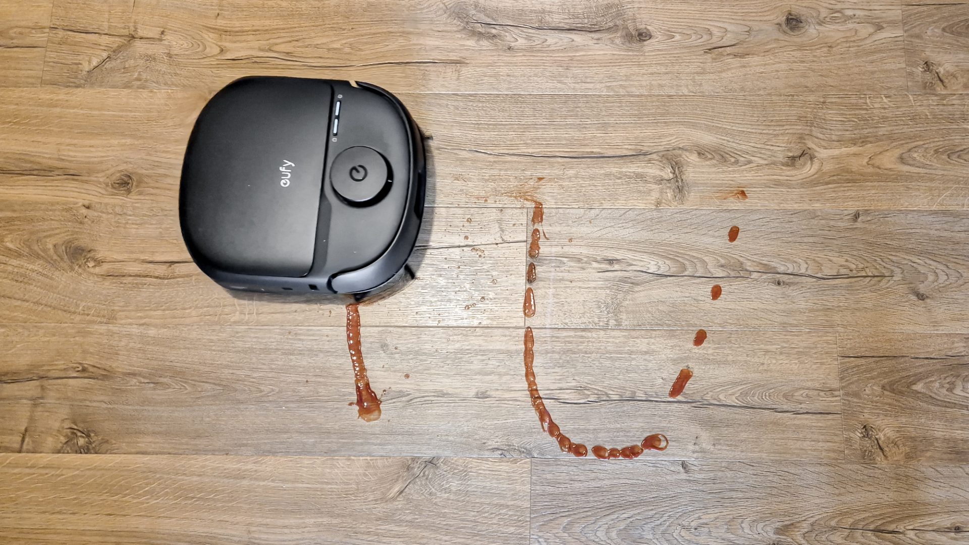 Обзор Eufy Omni C28 в России - убирает лучше, чем от него ждешь картинка Робот-пылесос Eufy Omni C28: мощная уборка | DGL.RU