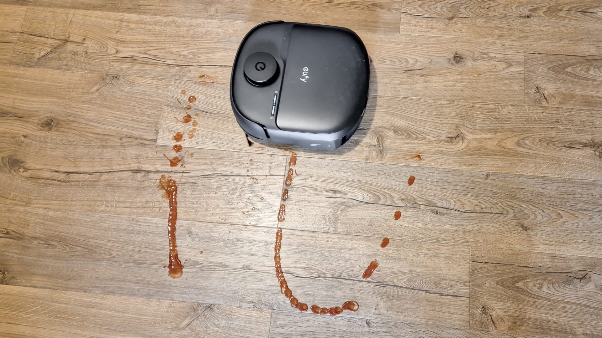 Обзор Eufy Omni C28 в России - убирает лучше, чем от него ждешь картинка Робот-пылесос Eufy Omni C28: мощная уборка | DGL.RU