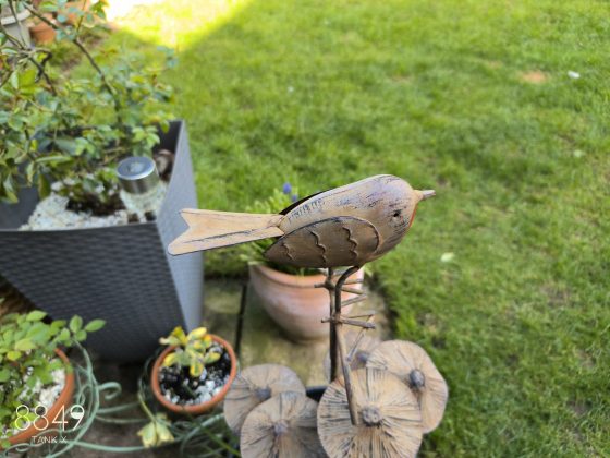 Смартфон 8849 Tank X: проектор в кармане | DGL.RU