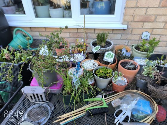 Смартфон 8849 Tank X: проектор в кармане | DGL.RU