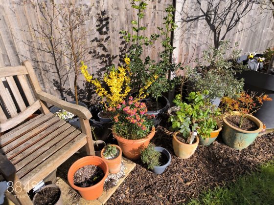 Смартфон 8849 Tank X: проектор в кармане | DGL.RU