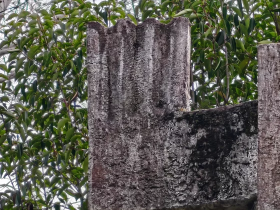 Смартфон Huawei Mate 80 Pro: не для всех | DGL.RU