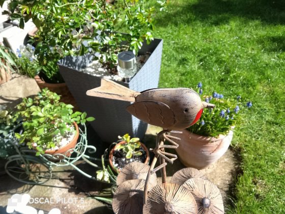 Смартфон Oscal Pilot 5 &mdash; автономность топ | DGL.RU