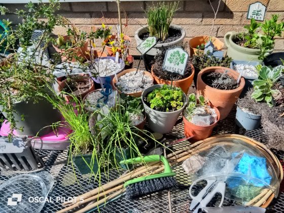 Смартфон Oscal Pilot 5 &mdash; автономность топ | DGL.RU