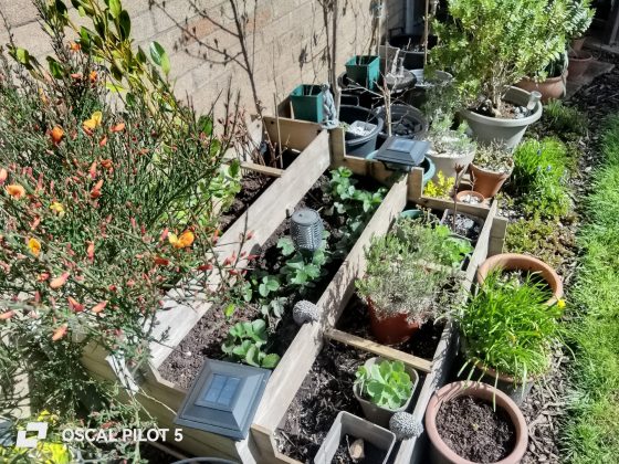 Смартфон Oscal Pilot 5 &mdash; автономность топ | DGL.RU