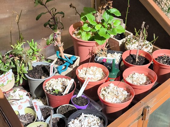 Смартфон Punkt MC03 &mdash; безопасный, но сырой | DGL.RU