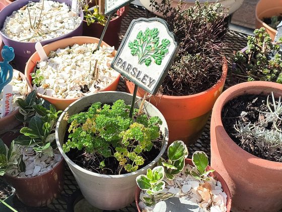 Смартфон Punkt MC03 &mdash; безопасный, но сырой | DGL.RU