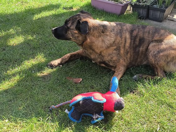 Смартфон Punkt MC03 &mdash; безопасный, но сырой | DGL.RU