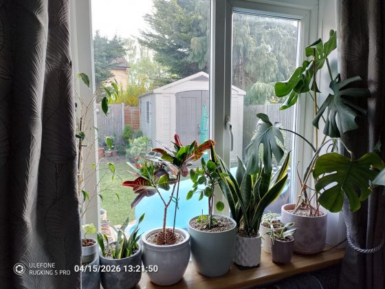 Смартфон Ulefone RugKing 5 Pro: выживает везде | DGL.RU