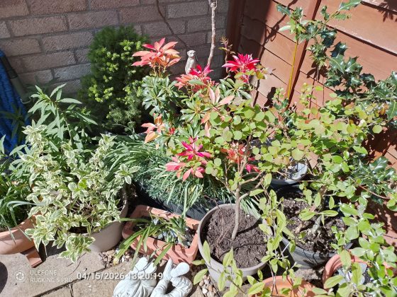 Смартфон Ulefone RugKing 5 Pro: выживает везде | DGL.RU