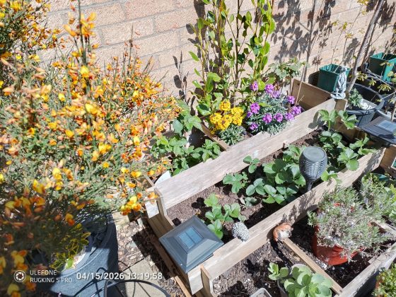 Смартфон Ulefone RugKing 5 Pro: выживает везде | DGL.RU