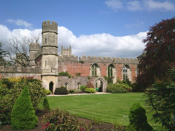 Yashica DigiPix 100 &mdash; ультрабюджетная камера | DGL.RU