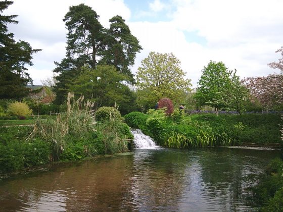 Yashica DigiPix 100 &mdash; ультрабюджетная камера | DGL.RU