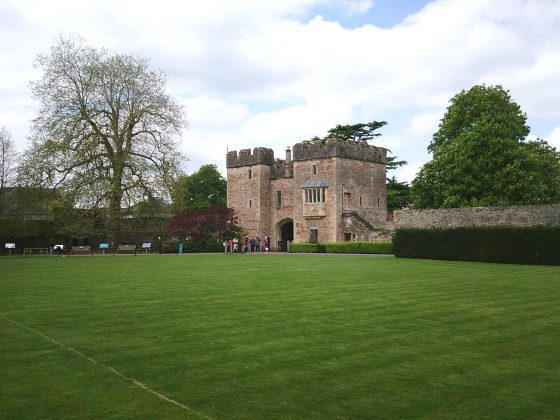 Yashica DigiPix 100 &mdash; ультрабюджетная камера | DGL.RU