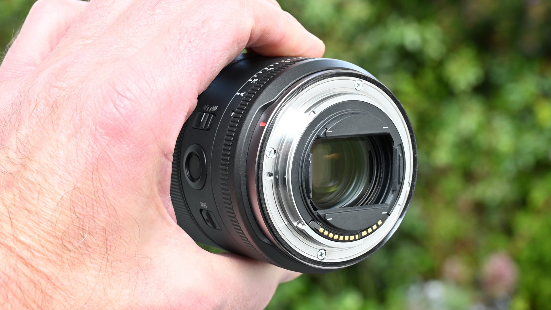 Canon RF 14mm f/1.4L VCM: сверхширокий взгляд | DGL.RU