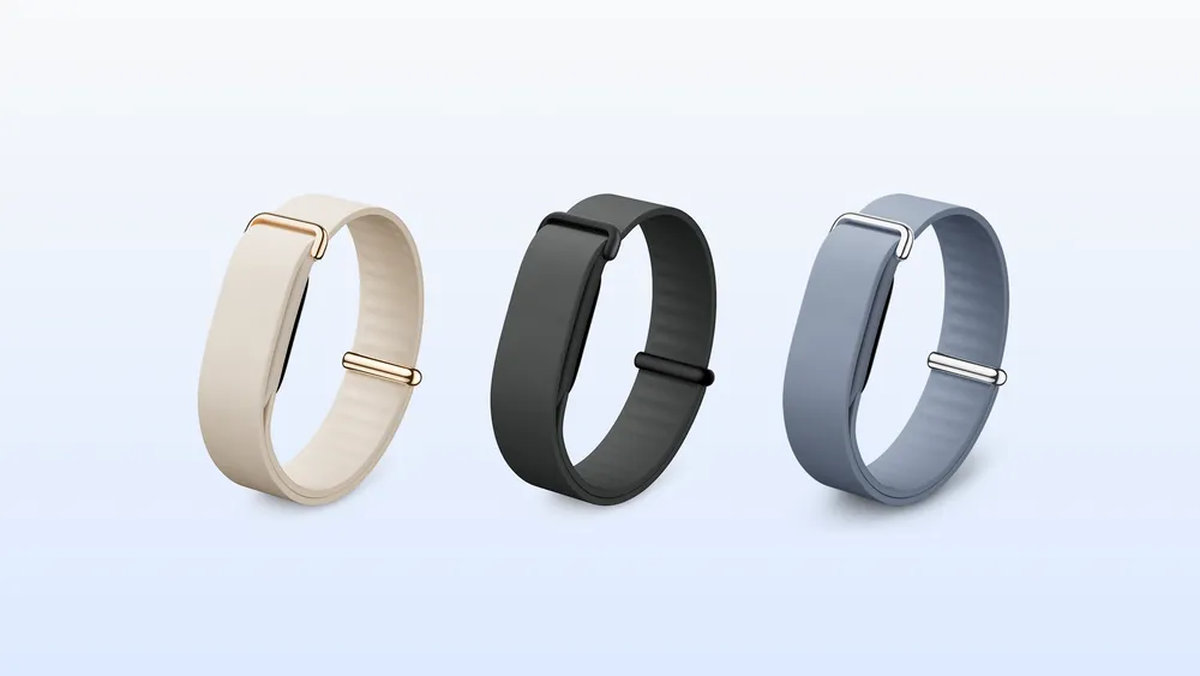 Стоит ли покупать трекер Google Fitbit Air? | DGL.RU